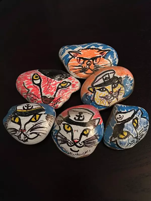Captain Cats (in my town people paint rocks and hide them)