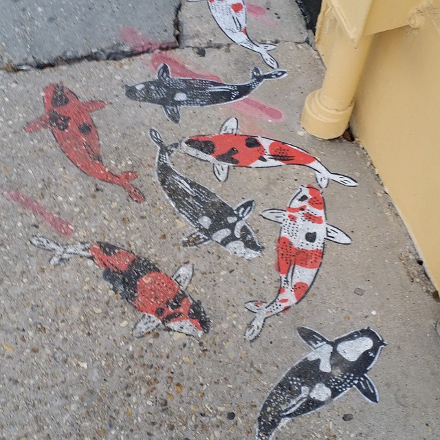 Koi on the side walk.