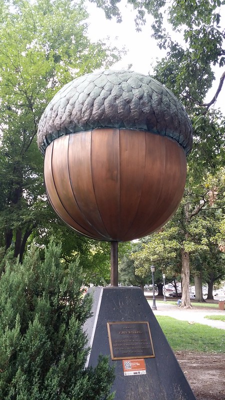 Giant Acorn in Raleigh NC