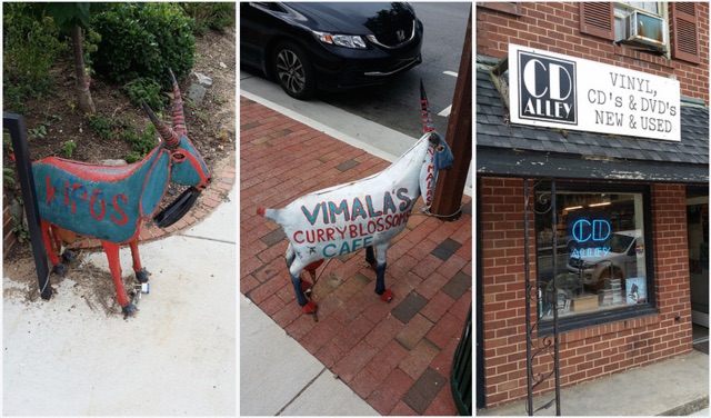 Goats and Music in Chapel Hill