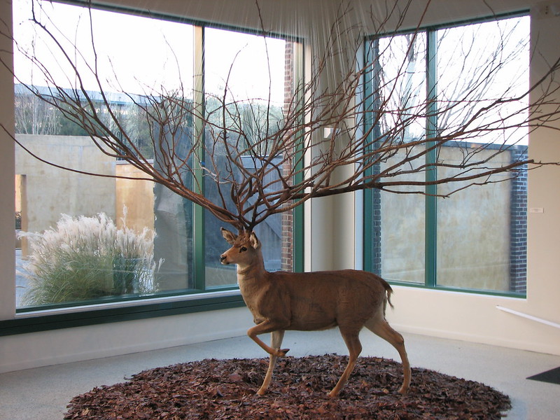 Grounds for Sculpture. Mega Deer.