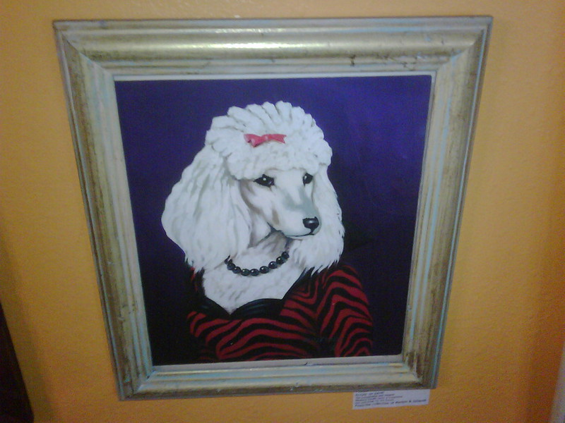 Poodle Lady