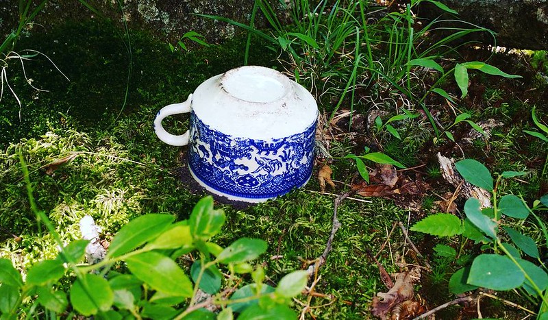Upended soup bowl in the forest