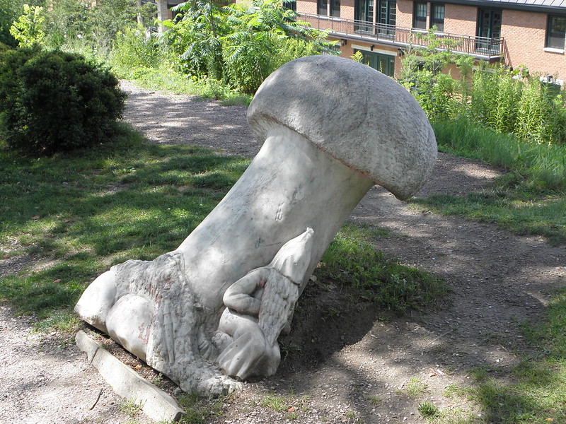 Burlington Vermont Mushroom/Toadstool & Gnome