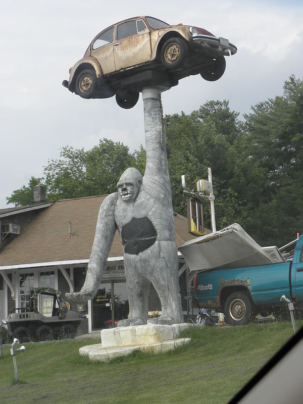  Gorilla Holding a VW on RT 7 in Vermont