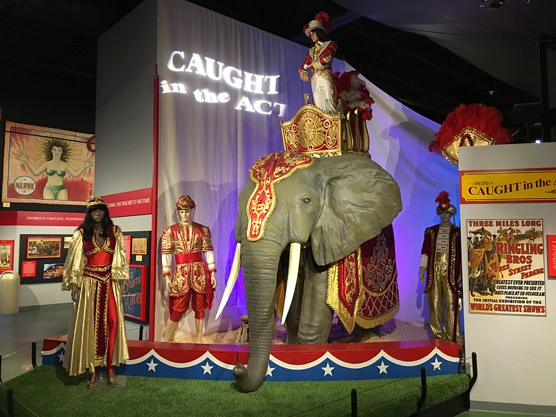 Circus costumes for performers and elephants
