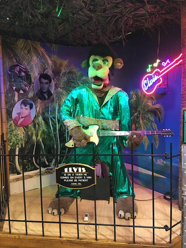 Animatronic Elvis Animal