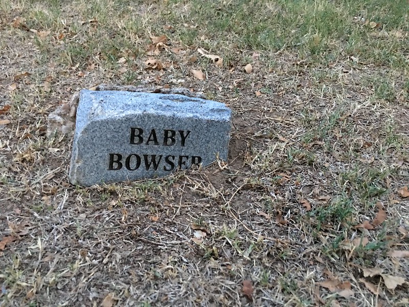 Poor Baby Bowser, rest in peace