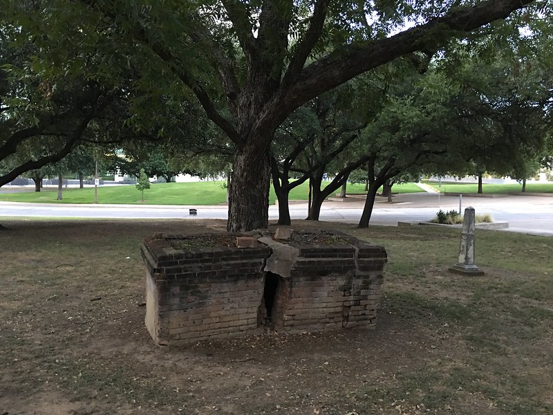 Dallas -- above ground grave split by tree