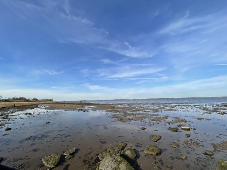 Cliffwood Beach used to have cliffs made of prehistoric wood & amber