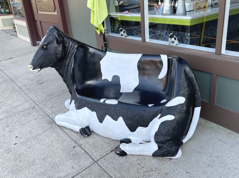 Cow Chairs