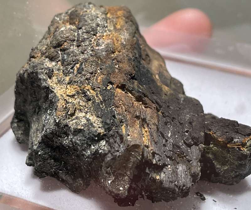 Lignite with Maracasite