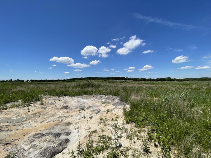 Big Field