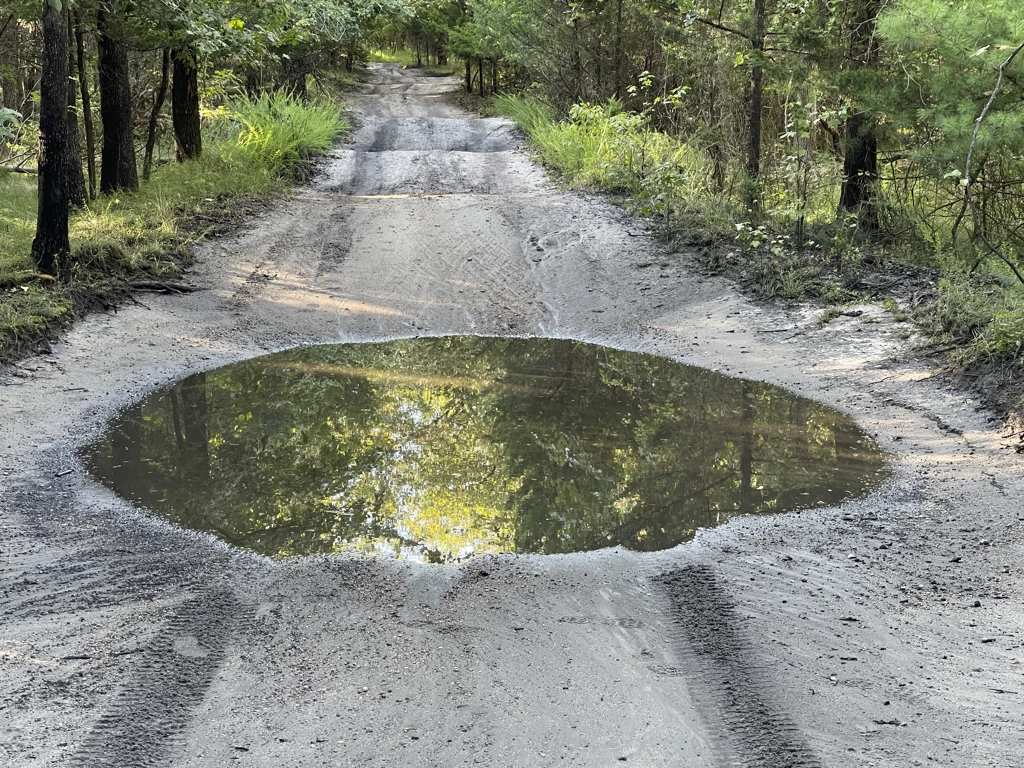 A dirt road with Hyundai Sonata sized potholes.