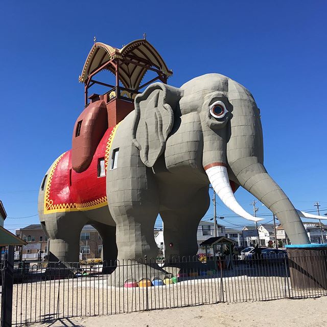 Giant Elephant