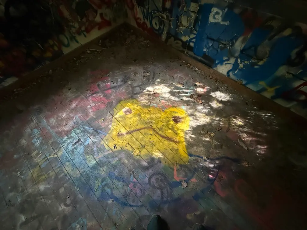 Floor Frog