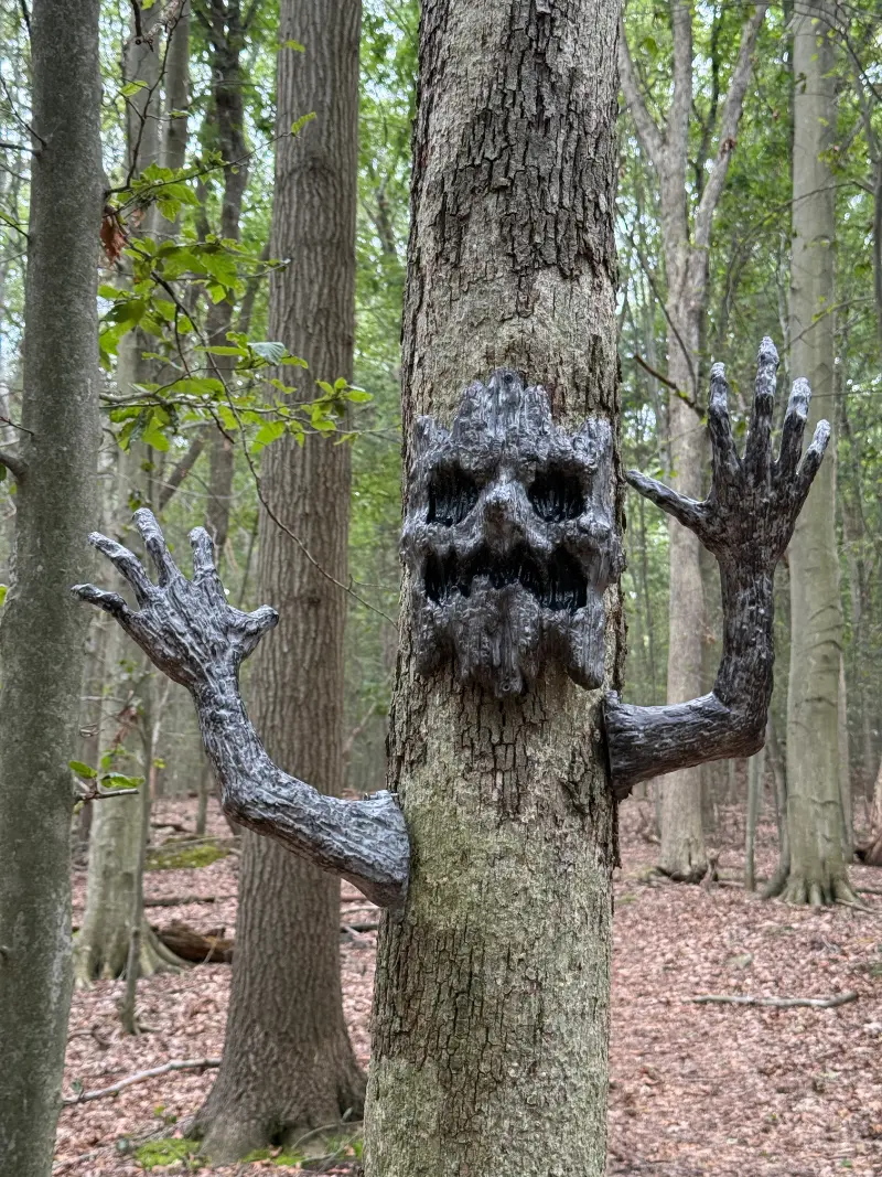 Dickerson Mine Preserve Ghoul