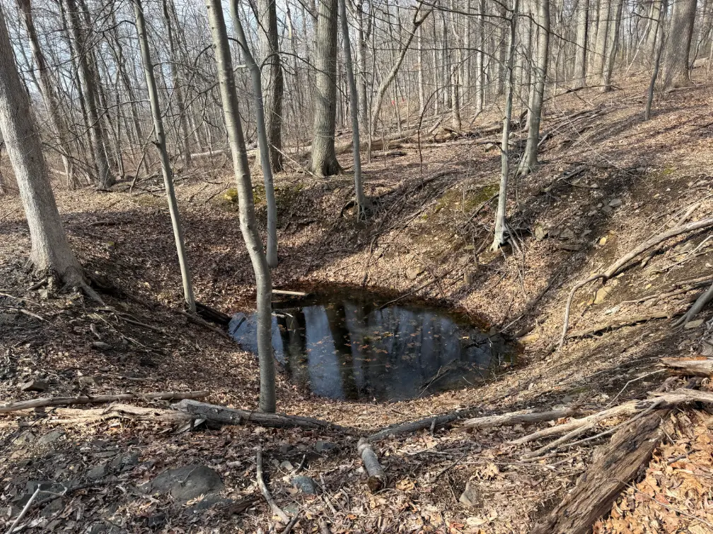 Dickerson preserve pit