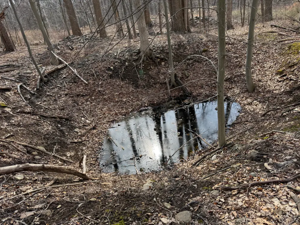 Dickerson preserve pit