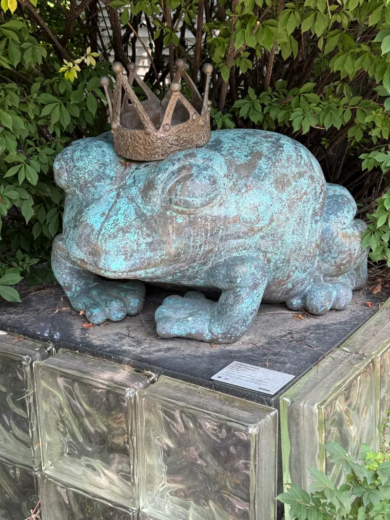 Frog at the entrance