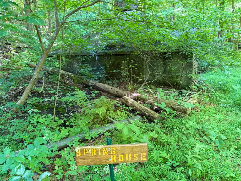 Spring House